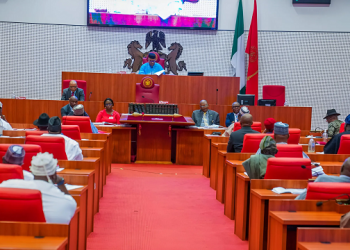Nigerian Senate Launches Probe into Rising Data Costs