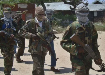 Six Kenyan Police Officers Killed in Ambush Near Somali Border