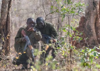 10 Gunmen, 1 Soldier Killed in Northern Benin Attack Amid Rising Violence