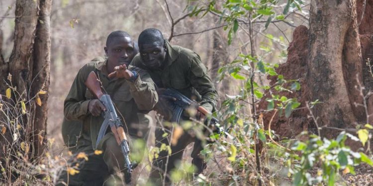 10 Gunmen, 1 Soldier Killed in Northern Benin Attack Amid Rising Violence