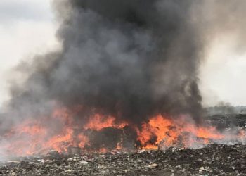 Nigeria: NAFDAC Destroys Counterfeit Drugs Worth ₦100 Billion in Ibadan