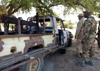 Boko Haram Kills 10 in Northern Cameroon, Including Army Lieutenant