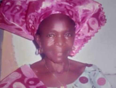 Nigeria: Ambassador Sarafa Isola Offers Condolences to Minister of State for Health