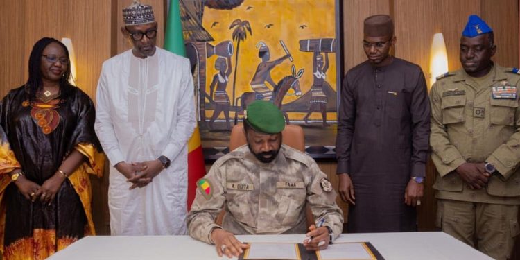 West African Juntas Impose 0.5% Levy on Imported Goods