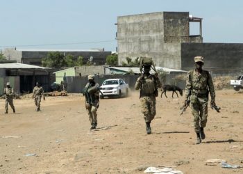 Ethiopia’s Tigray Region Seeks Federal Intervention Amid Leadership Strife