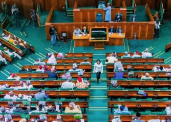 Nigerian House of Representatives Orders Blockage of Pornographic Websites