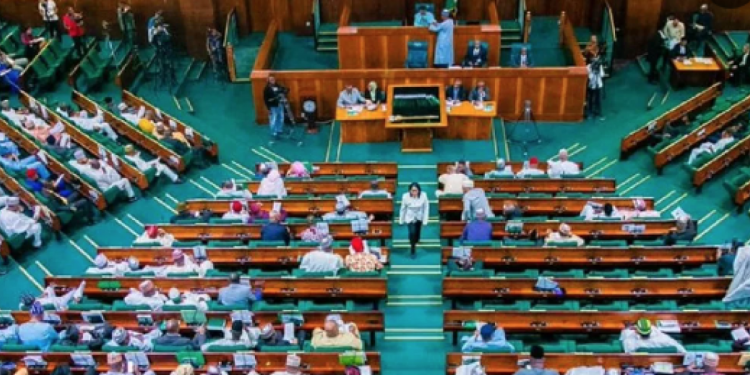 Nigerian House of Representatives Orders Blockage of Pornographic Websites