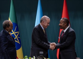 Ethiopia and Somalia Strengthen Ties, Pledge Cooperation on Security and Stability