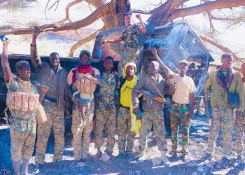 Puntland Forces Kill Foreign ISIS Fighters, Capture Key Stronghold