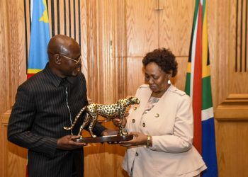 DR Congo, South Africa Boost Defence Ties Amid Escalating Eastern Congo Conflict