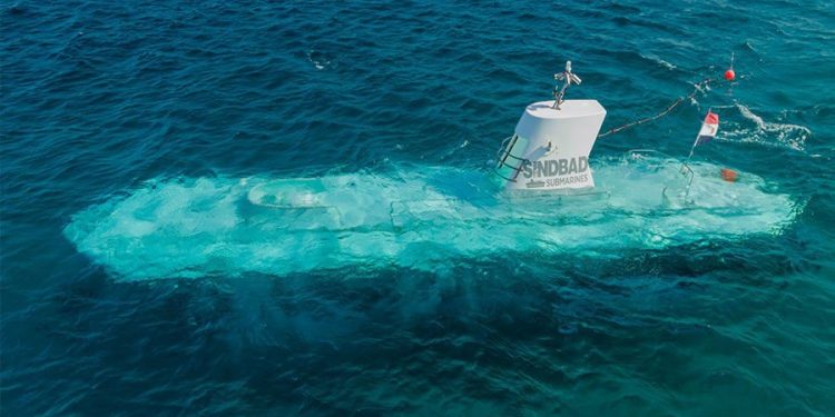 Six Dead as Tourist Submarine Sinks Off Egypt’s Red Sea Coast