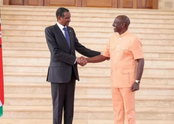 Sudan Bans Kenyan Imports in Response to Hosting of Rival Forces
