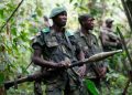 DR Congo Accuses Rwanda of Staging Fake Handover of Hutu Rebels