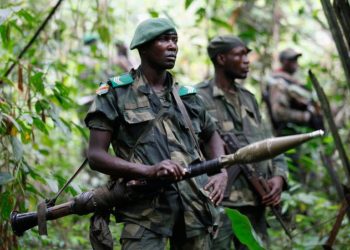 DR Congo Accuses Rwanda of Staging Fake Handover of Hutu Rebels