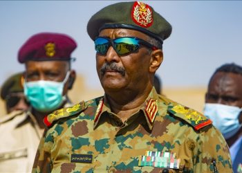 Sudan Accuses UAE of Arming Paramilitary Forces in World Court Case