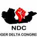Nigeria: Niger Delta Congress to Hold Massive Protest Against Tinubu’s Emergency Rule