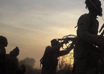 Nigeria: Vigilante Chairman Killed in Bokkos,Plateau Ambush