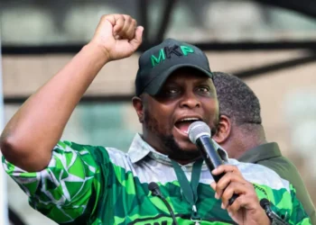 South African Politician Condemned for Visiting Fugitive Pastor