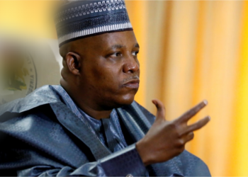Nigeria: Man Arrested for Attempted Break-In at VP Kashim Shettima’s Residence in Maiduguri