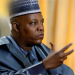 Nigeria: Man Arrested for Attempted Break-In at VP Kashim Shettima’s Residence in Maiduguri