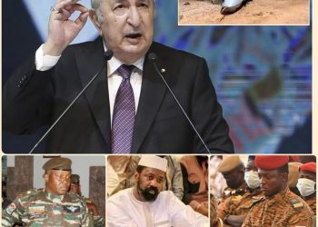 Algeria Recalls Envoys from Mali and Niger, Postpones Ambassador’s Inauguration in Burkina Faso Over Diplomatic Dispute