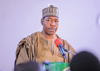 Boko Haram Regains Footing in Borno State, Nigeria’s Military Struggles to Respond