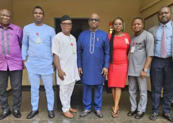 Guinea Woos Nigerian Businesses with $20 Billion Mega Project