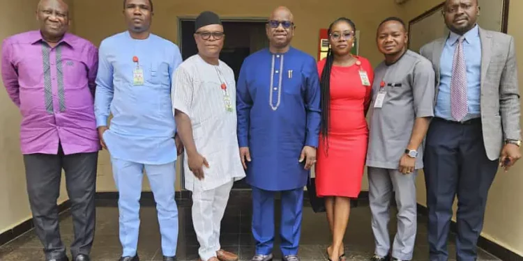 Guinea Woos Nigerian Businesses with $20 Billion Mega Project