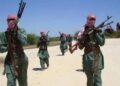 Mahmuda: New Terror Group Emerges in North Central Nigeria, Kills Over 15 Vigilantes