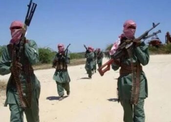 Mahmuda: New Terror Group Emerges in North Central Nigeria, Kills Over 15 Vigilantes