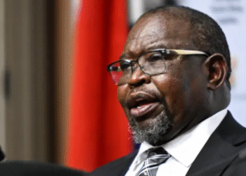 South Africa Scraps Planned VAT Hike After Political Pushback