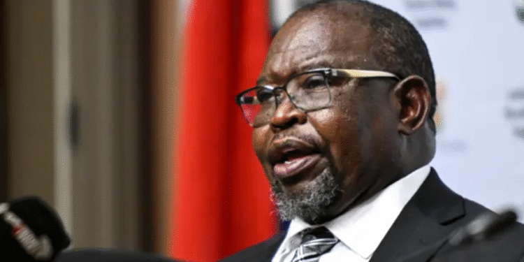 South Africa Scraps Planned VAT Hike After Political Pushback