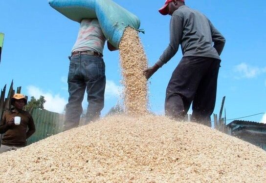 Tanzania Bans Agricultural Imports From South Africa and Malawi in Retaliation