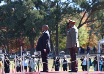 South Africa Celebrates Freedom Day, Reflects on Progress and Challenges