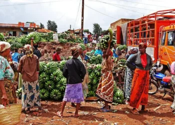 Tanzania Bans Imports from South Africa and Malawi in Escalating Trade Row