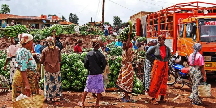 Tanzania Bans Imports from South Africa and Malawi in Escalating Trade Row