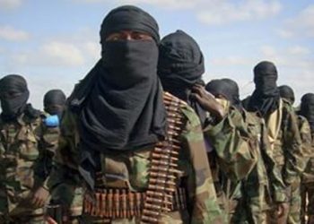 Kenyan Officials Freed After Two-Month Captivity