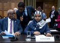 Sudan Accuses UAE of ‘Complicity in Genocide’ at World Court
