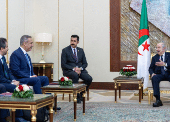Türkiye and Algeria Aim to Develop Joint Policies on Regional Issues