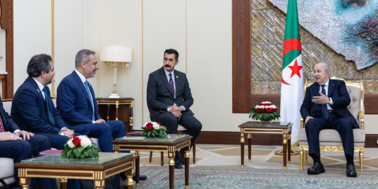 Türkiye and Algeria Aim to Develop Joint Policies on Regional Issues