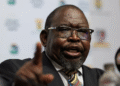 South Africa’s Finance Minister Refuses to Resign Following VAT Reversal