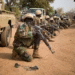 Twelve Nigerien Soldiers Killed in Attack Near Tri-Border Region, Two Arrested