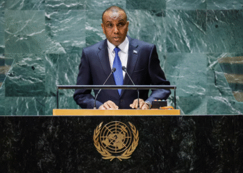 Somalia Prime Minister Reshuffles Cabinet, Names New Defence Minister