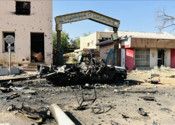 41 Civilians Killed in RSF Shelling on El-Fasher as Sudan Conflict Escalates