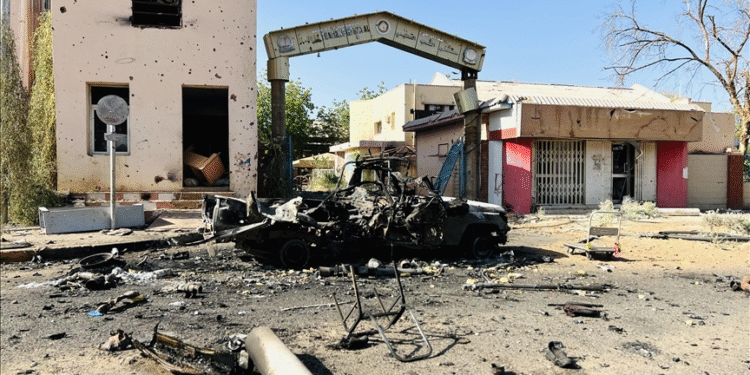 41 Civilians Killed in RSF Shelling on El-Fasher as Sudan Conflict Escalates