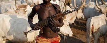 Herdsmen Kill at Least 17 in Nigeria’s Benue State