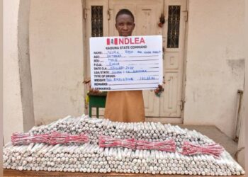 Nigerian Authorities Seize 942 Explosives, Arrest Suspect