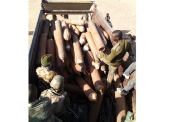 Nigerian Troops Neutralize Boko Haram Terrorists in Sambisa Forest