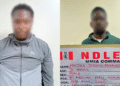 Nigeria: NDLEA Arrests Two British Nationals for Drug Trafficking