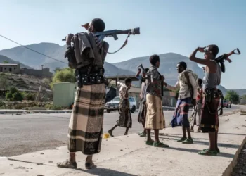 Ethiopia’s Tigray Party Warns of Peace Deal Collapse Amid Ban